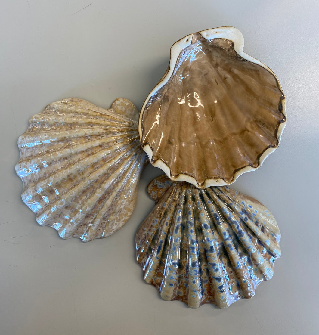 Scallop Shell Dish