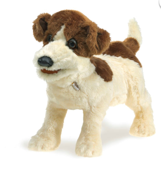 Puppet Jack Russell Terrier